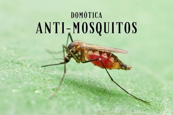 La domótica que acabará con los mosquitos ¡Por fin!